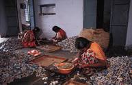 Indische Frauen arbeiten in einem dunklen Raum und sortieren Streichholzschachteln